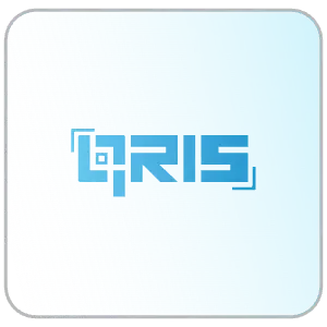 QRIS